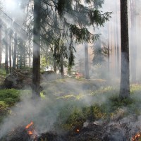 incendio